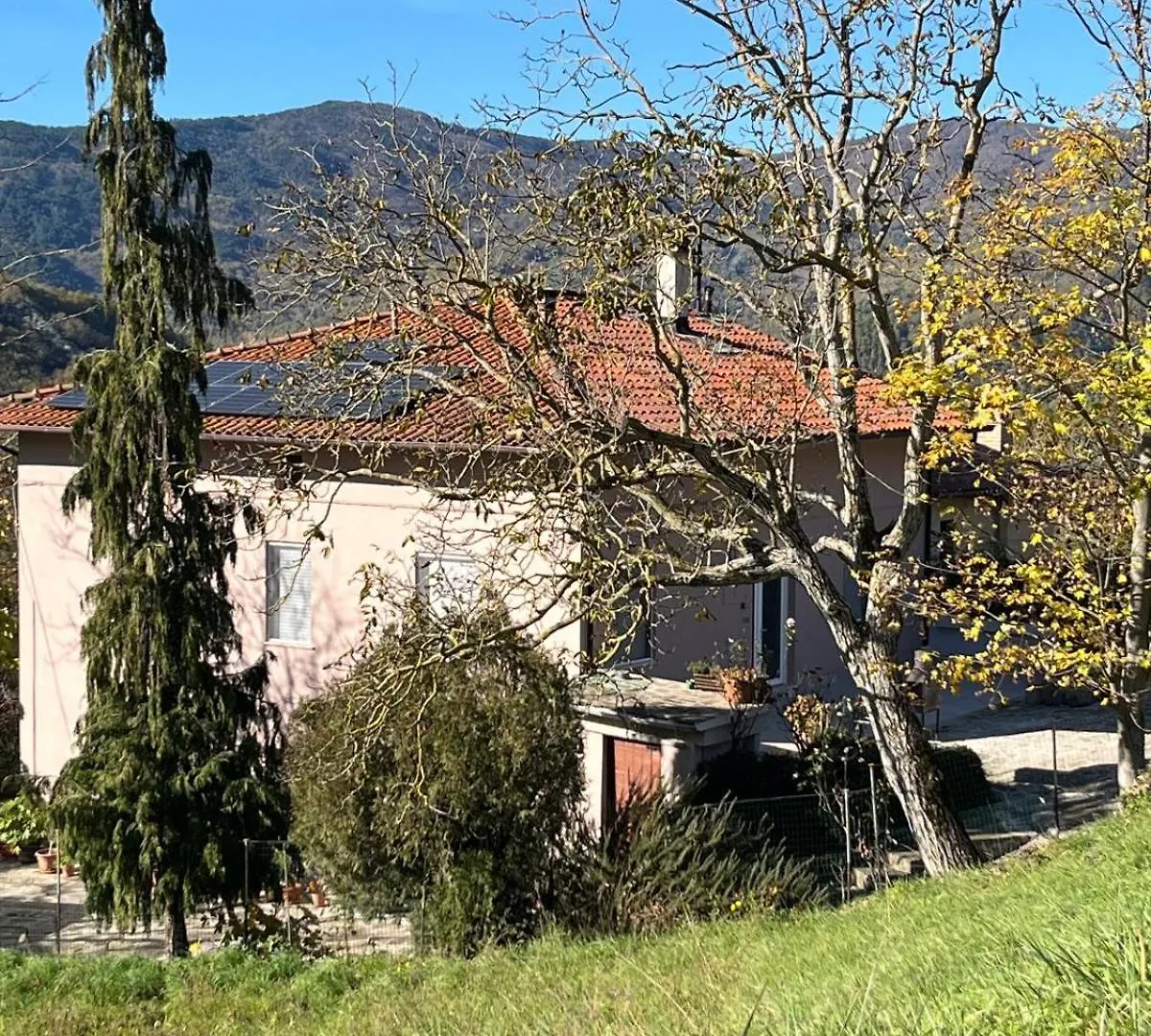 Ville Di Roti Shire Mogginano